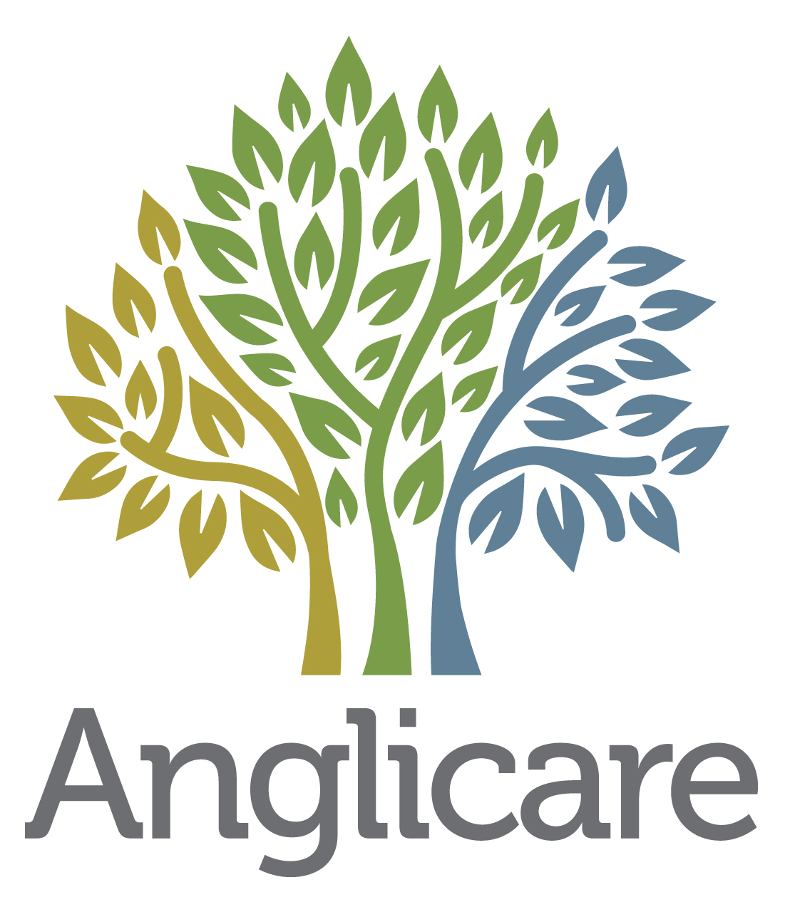 Anglicare Roden Cutler Lodge logo