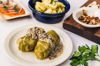 Polish Aged Care - Support at Home