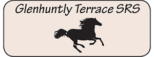 Glenhuntly Terrace SRS logo