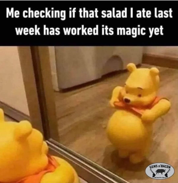 Living Actively Disability Support Services