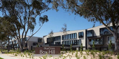 Box Hill (BlueCross)