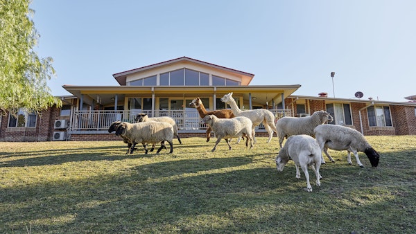 Uniting Alroy House Singleton